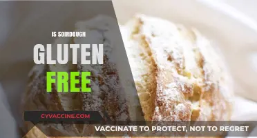 Is Sourdough Gluten-Free? Unraveling the Truth for Bread Lovers