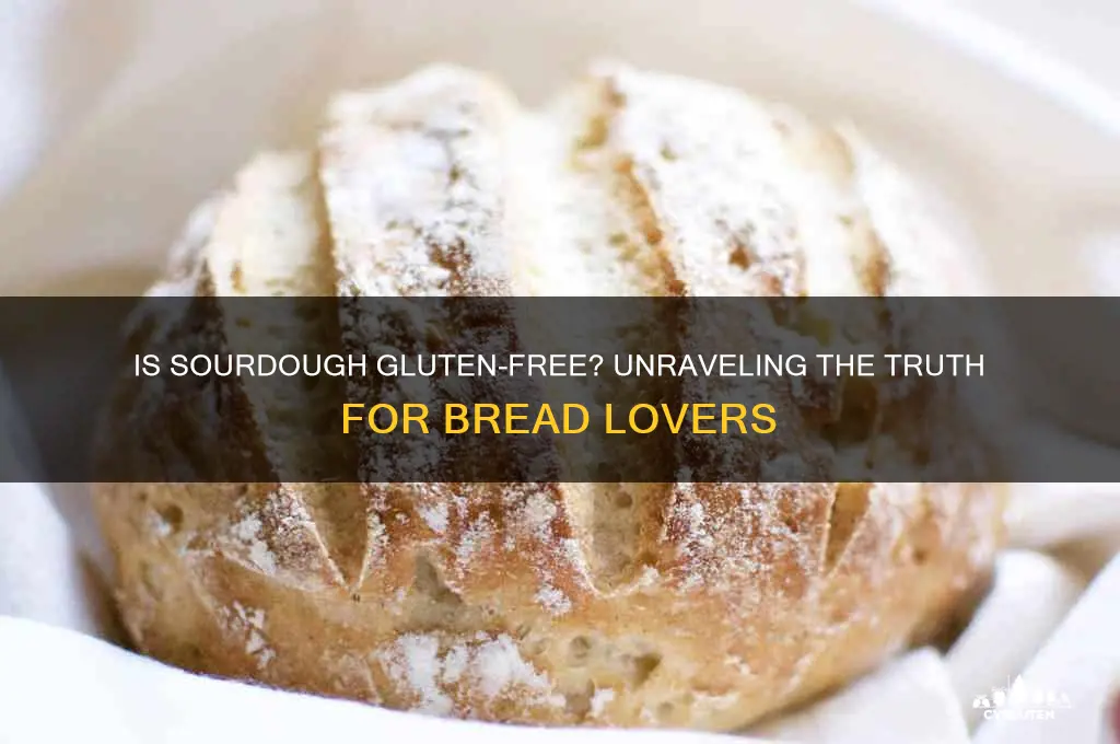 is soirdough gluten free