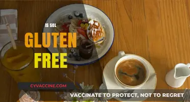 Is Sol Gluten Free? A Comprehensive Guide to Your Dietary Needs
