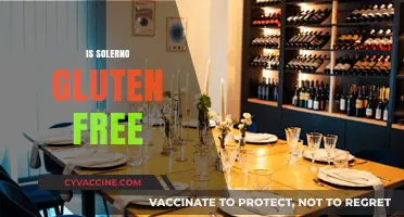 Is Solerno Gluten Free? A Complete Guide to This Liqueur