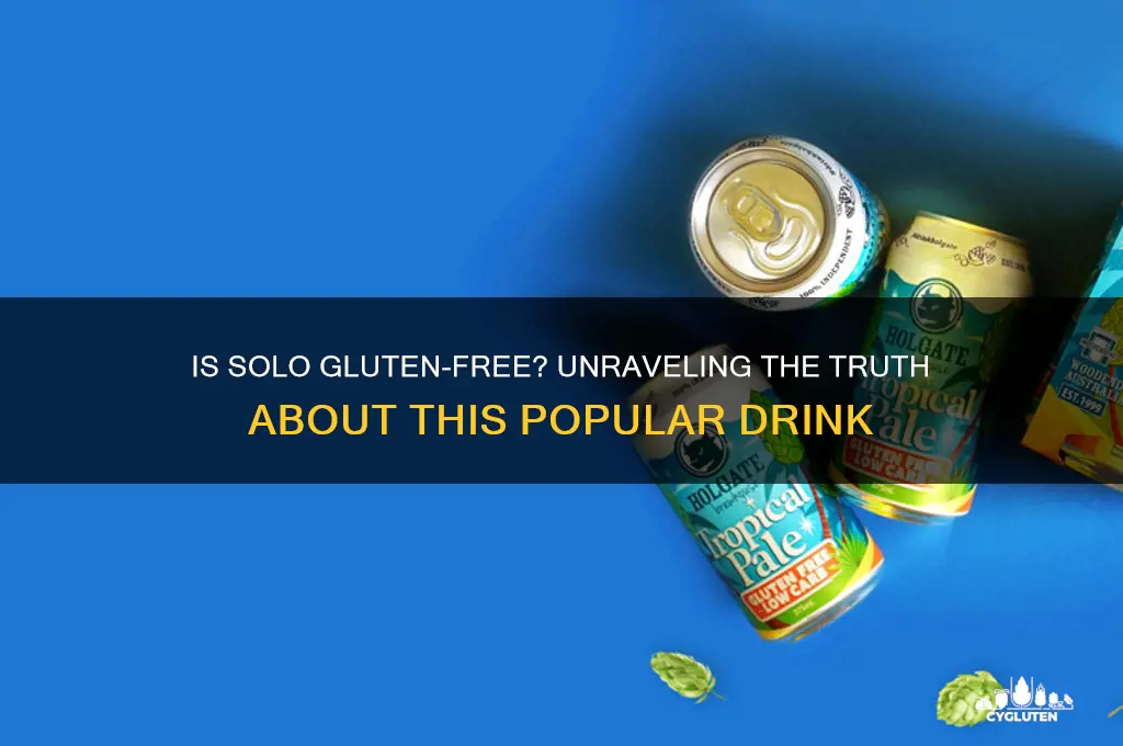 is solo gluten free