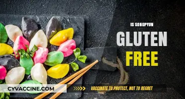 Is Songpyeon Gluten-Free? Exploring Traditional Korean Rice Cakes