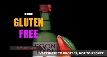 Is Sonu Gluten-Free? Unraveling the Ingredients for a Clear Answer