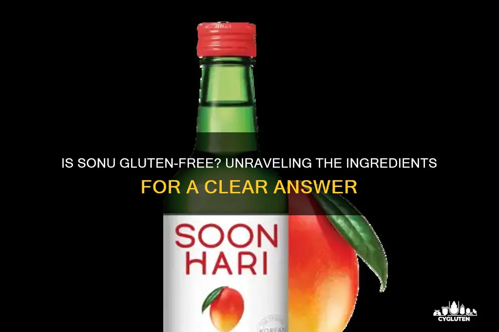 is sonu gluten free