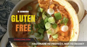 Is Soondubu Gluten-Free? A Complete Guide to Korean Soft Tofu Stew