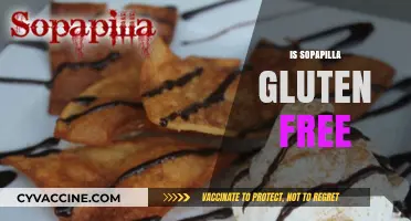 Are Sopapillas Gluten-Free? A Sweet or Savory Dilemma Explored