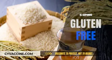 Is Soporro Gluten-Free? A Complete Guide to Its Ingredients