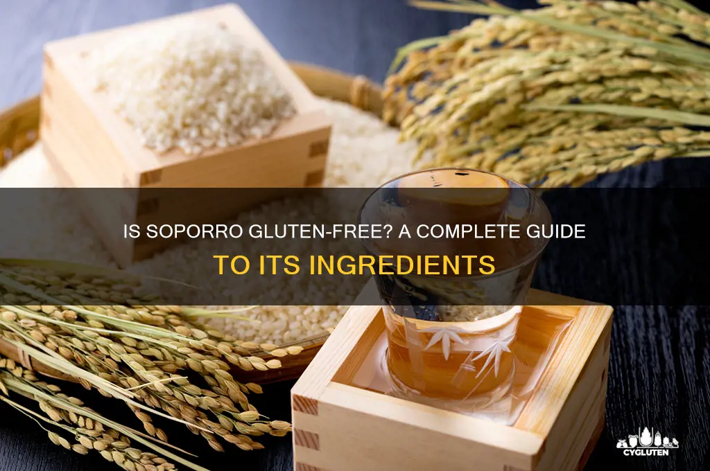 is soporro gluten free