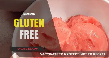 Is Sorbetto Gluten-Free? A Complete Guide to Safe Indulgence