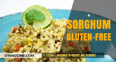 Is Sorghum Gluten-Free? A Complete Guide to This Ancient Grain