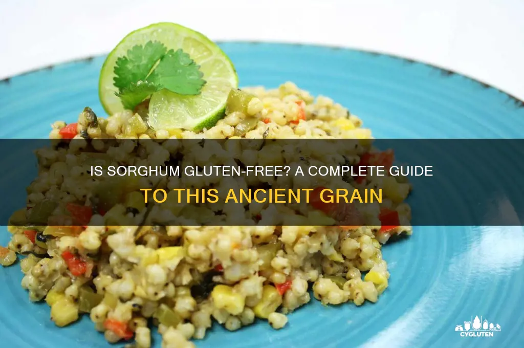 is sorghum gluten-free