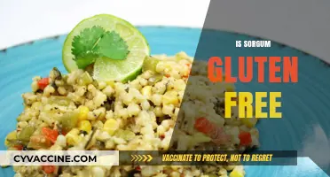 Is Sorghum Gluten-Free? Discover the Truth About This Ancient Grain