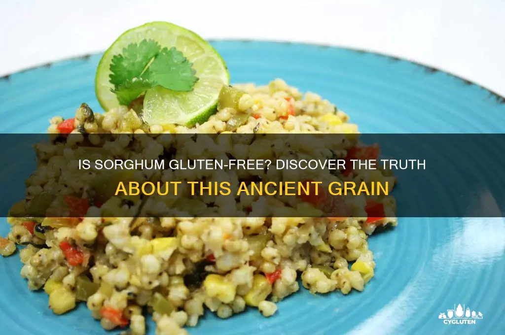 is sorgum gluten free