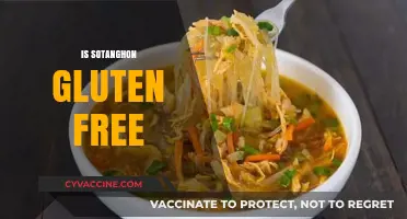 Is Sotanghon Gluten-Free? A Clear Answer for Your Dietary Needs