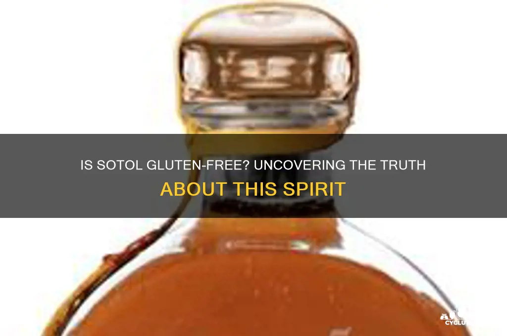 is sotol gluten free
