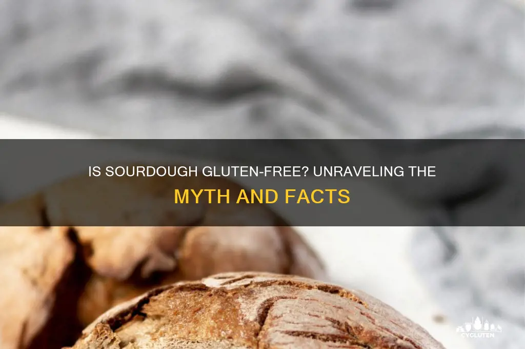 is sour dough gluten free