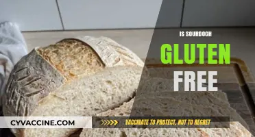 Is Sourdough Gluten-Free? Unraveling the Myth and Facts