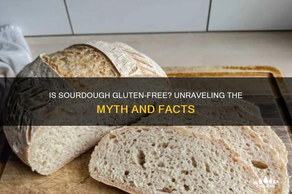 is sourdogh gluten free