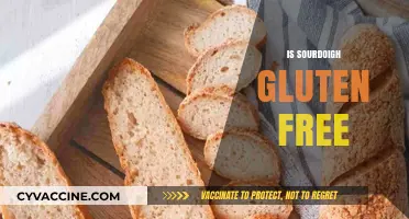 Is Sourdough Gluten-Free? Unraveling the Myth and Facts