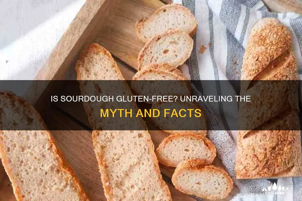 is sourdoigh gluten free
