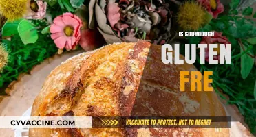 Is Sourdough Gluten-Free? Debunking Myths and Facts About Bread