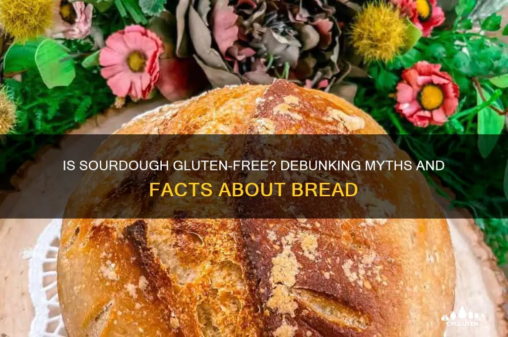 is sourdough gluten fre
