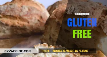 Is Sourdough Gluten-Free? Unraveling the Truth Behind the Bread