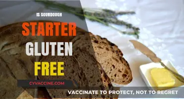 Is Sourdough Starter Gluten-Free? Understanding the Fermentation Process
