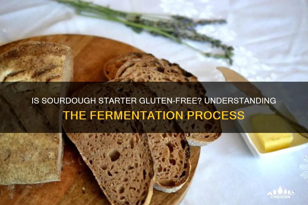 is sourdough starter gluten free