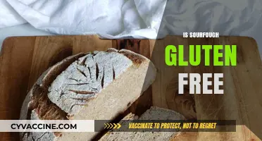 Is Sourdough Gluten-Free? Unraveling the Truth Behind the Bread