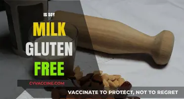 Is Soy Milk Gluten-Free? A Comprehensive Guide for Dietary Needs