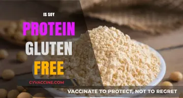 Is Soy Protein Gluten-Free? Unraveling the Facts for Your Diet