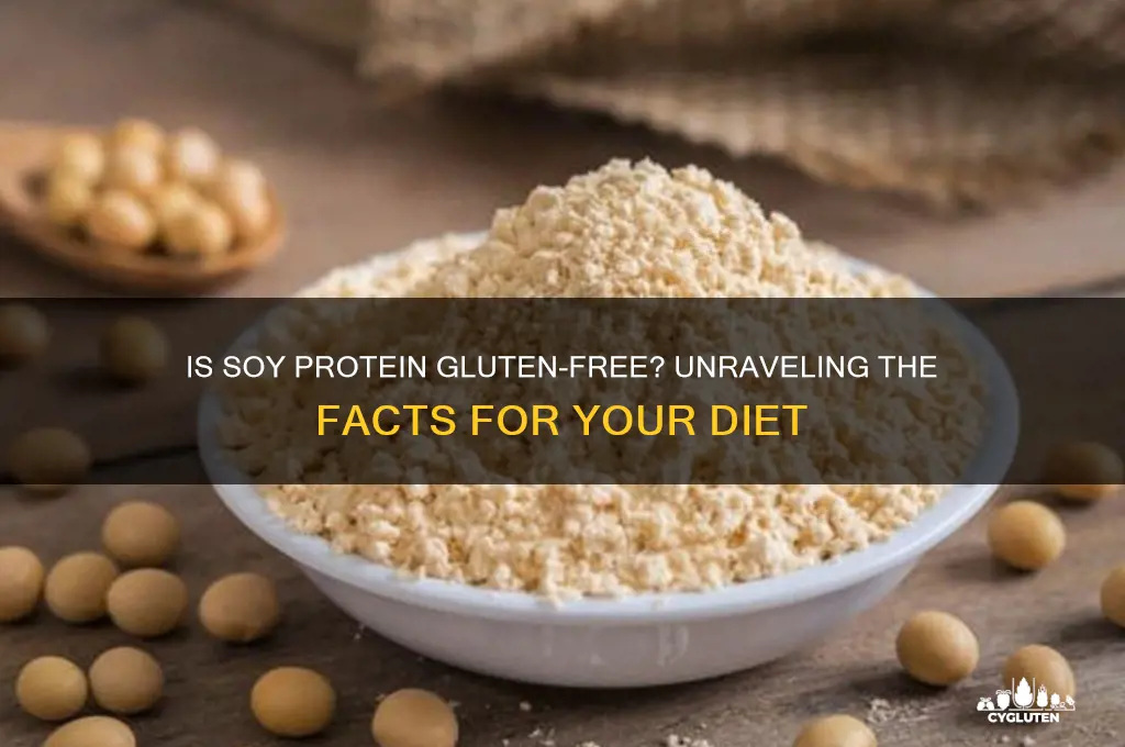 is soy protein gluten free