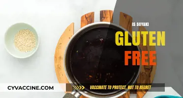 Is Soyaki Gluten-Free? Uncovering the Truth for Celiac Diets