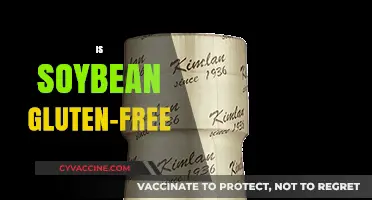 Is Soybean Gluten-Free? Unraveling the Truth for Celiac Diets
