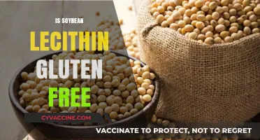 Is Soybean Lecithin Gluten-Free? A Comprehensive Guide for Dietary Needs