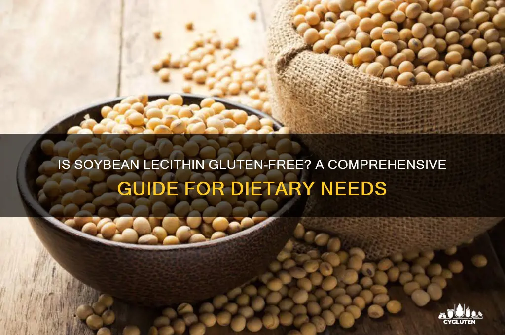 is soybean lecithin gluten free