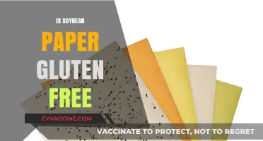 Is Soybean Paper Gluten-Free? A Comprehensive Guide for Dietary Needs