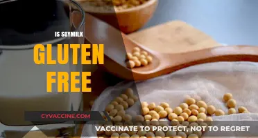 Is Soymilk Gluten-Free? A Comprehensive Guide for Dietary Needs