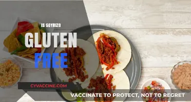 Is Soyrizo Gluten-Free? A Complete Guide to Your Dietary Needs