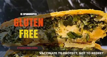 Is Spanakopita Gluten-Free? A Guide to This Greek Dish