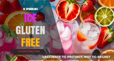 Is Sparkling Ice Gluten-Free? A Complete Guide to Ingredients