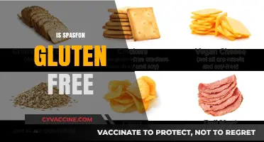 Is Spasfon Gluten-Free? A Comprehensive Guide for Celiac Patients