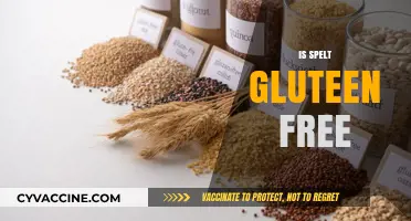 Is Spelt Gluten-Free? Unraveling the Truth for Your Diet