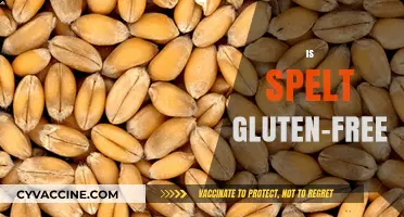 Is Spelt Gluten-Free? Unraveling the Truth for Your Diet