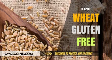Is Spelt Wheat Gluten-Free? Unraveling the Truth for Your Diet