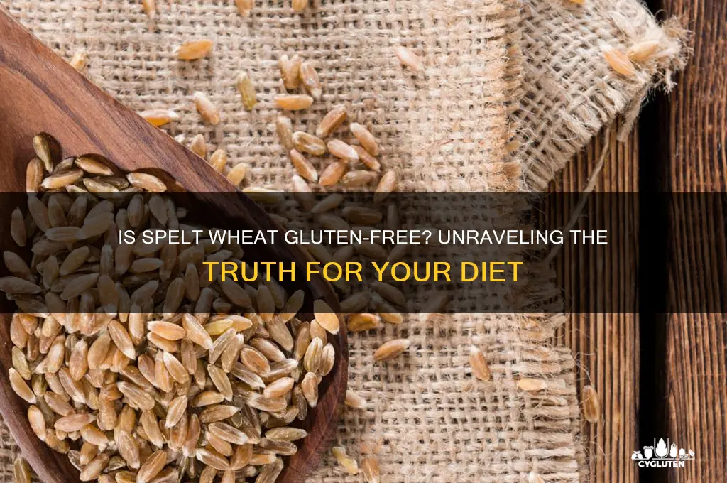 is spelt wheat gluten free