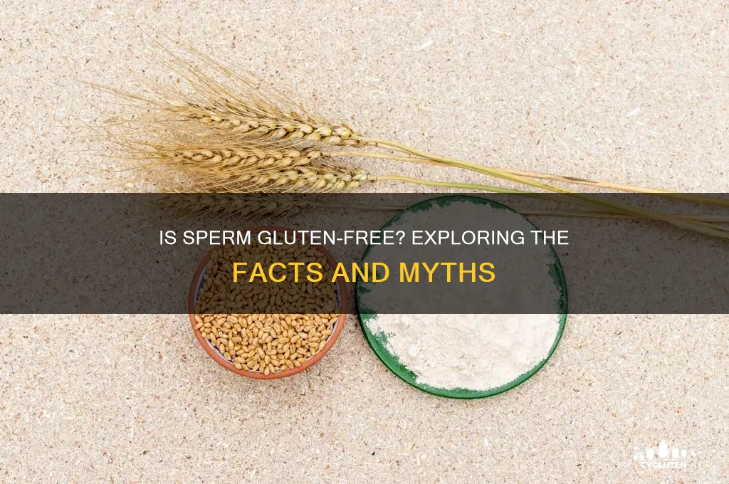 is sperm gluten free