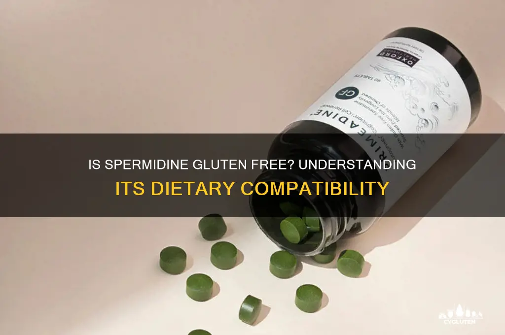 is spermidine gluten free