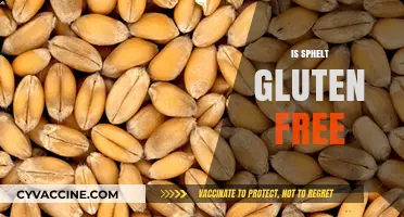 Is Spelt Gluten-Free? Understanding This Ancient Grain's Role in Diets